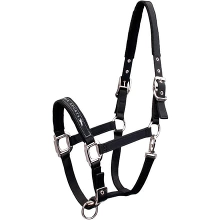Nylon halster voor paard Schockemöehle Memphis