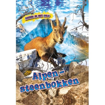 Alpen Steenbokken - Dieren In Het Wild - Kaitlyn Duling