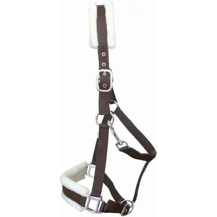 Schofelt voor paard T de T
