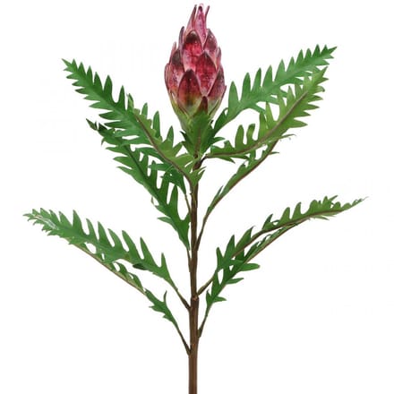 Artisjok Artisjok Roze Kunstplanten Deco Herfst H68cm