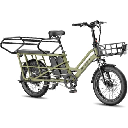 FAFREES FF20 CUV Modulaire Longtail E-Bike – Dubbele Accu 30AH, Hydraulische Schijfremmen