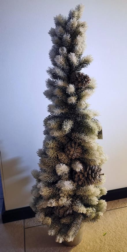 Kerstboom