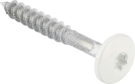 Schroef voor Trespa - rvs - wit - 4.8 x 38 mm - Normaal (10 stuks)