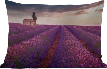 Buitenkussens - Lavendel - Bloemen - Paars - Veld - 60x40 cm - Weerbestendig
