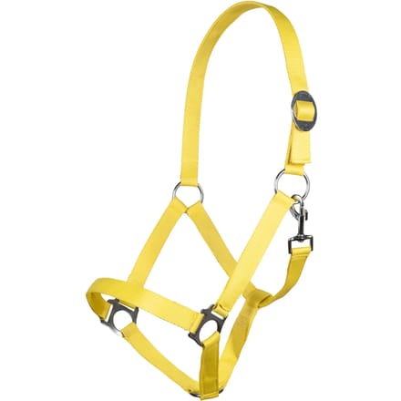 Halster -Stars Economy Softice- neongeel Pony