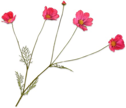 Silk-ka Kunstbloem-Zijden Bloem Cosmos Tak Rood-Roze 92 cm