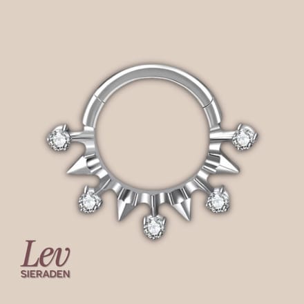 Lev Sieraden - Titanium premium neus ring - Stones and spikes - 5 zirkonia segment ring - 1.2x8mm - Zilver - segment ring - neuspiercing - tragus piercing - Oorpiercing