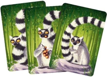 Lemur Tails - Kaartspel - Jolly Dutch