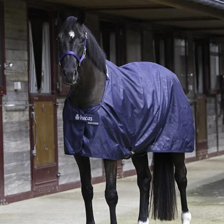 Paardendeken Bucas 0g