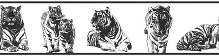 Dieren behangrand Tijgers Jungle BEHANGRAND | Zelfklevend - Zwart / Wit
