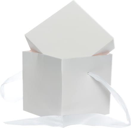 Set van 2 Verpakkingsdozen – Cadeaudozen met Lint - 10x10cm