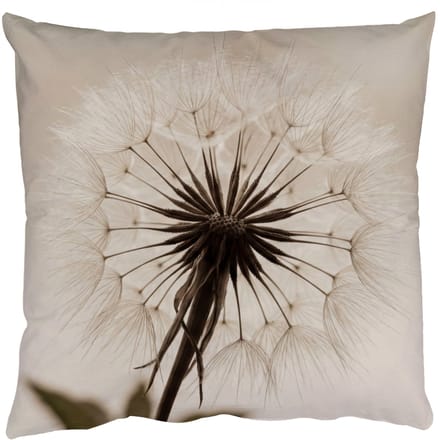 Sierkussens - Kussentjes Woonkamer - 60x60 cm - Paardenbloem - Minimalistisch - Wit