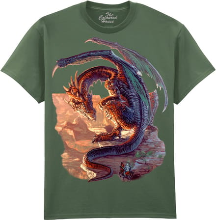 Draak Bravery Misplaced The Coloured House T-shirt M