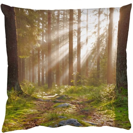 Sierkussens - Kussentjes Woonkamer - 50x50 cm - Bos - Zonlicht - Gras