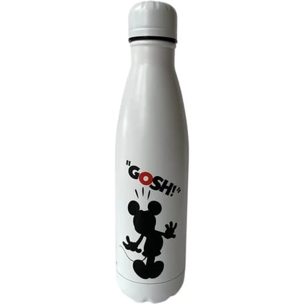 Isolerende roestvrijstalen drinkfles voor kinderen Lyo Disney Mickey