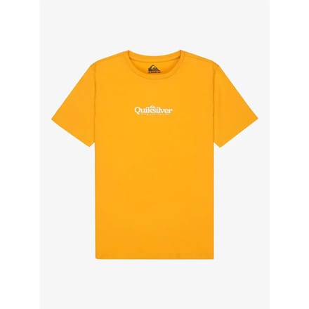 T-shirt kind Quiksilver Fineline