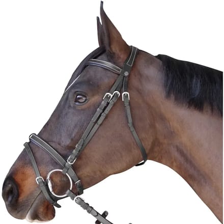 Hoofdstellen, plat, gevoerd Canter