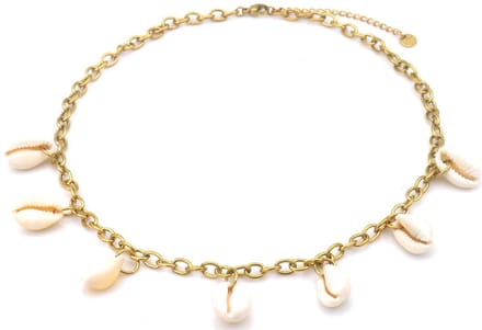Ketting - RVS - schelpen - goudkleurig - 40-45 cm