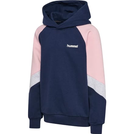 hmlJR LOOSE BLOCKED HOODIE