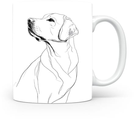 Beker Labrador Retriever