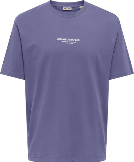 ONLY&SONS - ONSCURATED RLX PRINT SS TEE NOOS - Heren - T-shirts