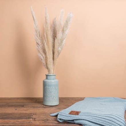 BloomKado | Droogbloemen | Pampas Pluimen | 60cm | 5 Stelen | Naturel