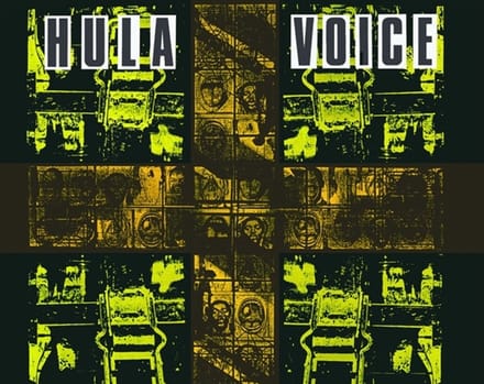 Voice