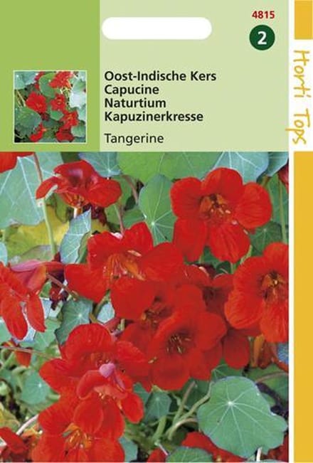 Hortitops Zaden - Tropaeolum Majus Nanum Empress Of India