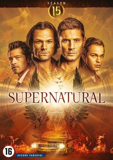 Supernatural - Seizoen 15 (DVD)