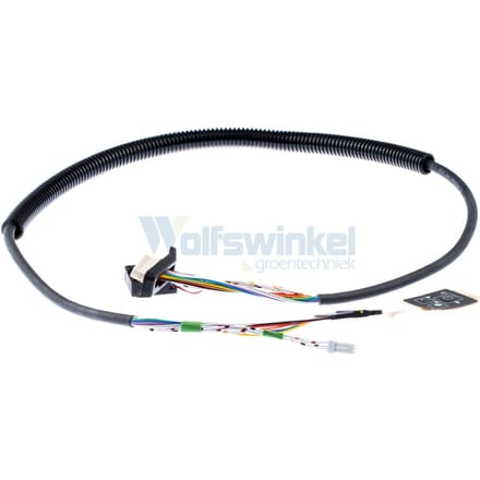 Wiring assy