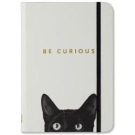 Peter Pauper compacte notitieboek - Curious Cat - met elastieksluiting - 13x18 cm