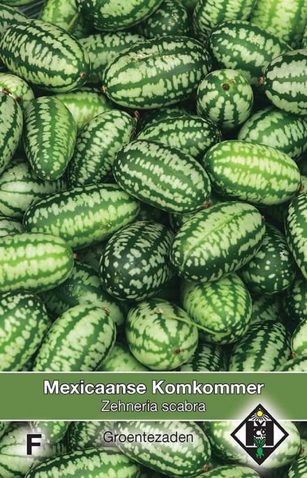 Groentezaden Mexicaanse Komkommer Zehneria Scabra - 2 Zaden