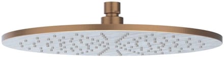 IVY Toebehoren Hoofddouche medium 30cm met antikalk nozzels RVS316 geborsteld mat koper PVD