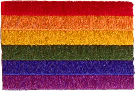 Strijkapplicatie 8x6cm vlag Regenboog