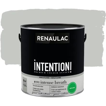 Renaulac Intention Muurverf - Extra Mat - Intense Breath - 2,5l