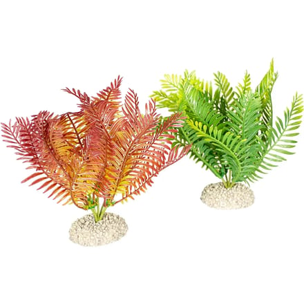 Aquarium planten decoratie Aqua Della Bolbitis