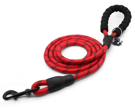 Dougi - Hondenriem 2 m - Reflecterend - Met Poepzak-Sleutelhanger & Gratis E-boek - Rood