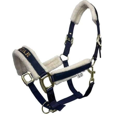 Bont halster voor paard JD Attack Halter Superstar