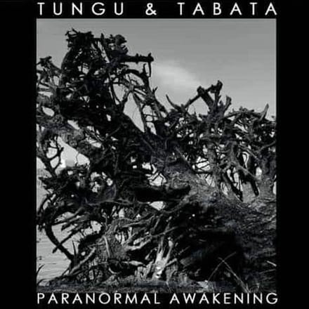 Tungu & Tabata - Paranormal Awakening (CD)
