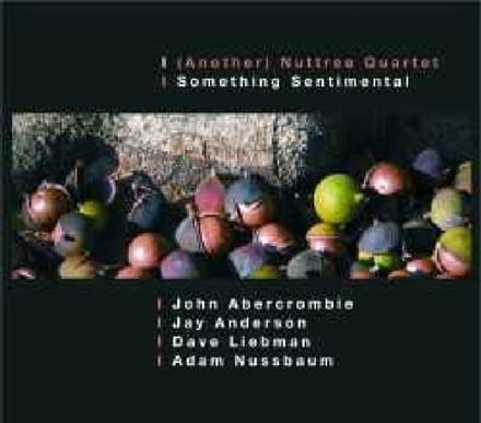 (Another) Nuttree Quartet - Something Sentimental (CD)