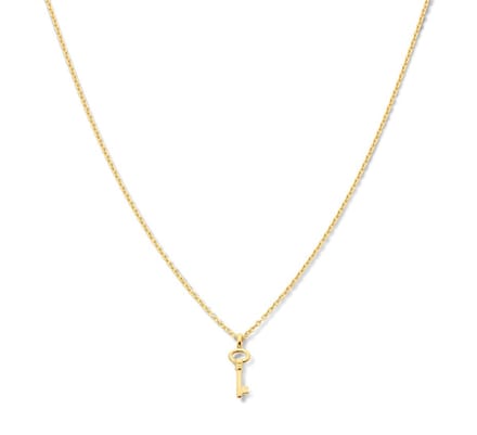 Zilver Verguld Collier sleutel 1 2101740