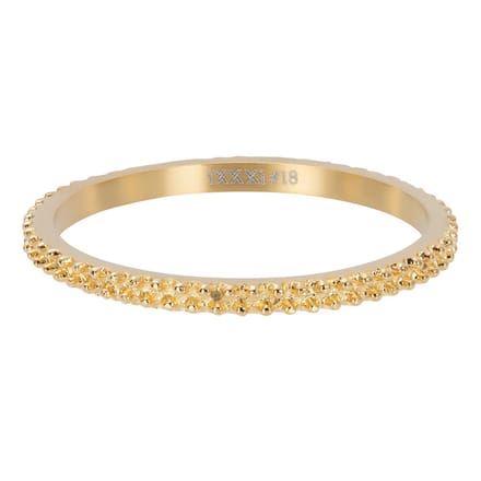 iXXXi Vulring Caviar Goud | Maat 15