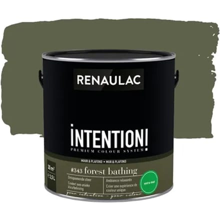 Renaulac Intention Muurverf - Extra Mat - Forest Bathing - 2,5l