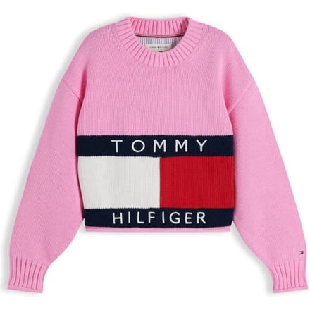 Tommy Hilfiger Pullover kg0kg08922