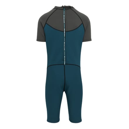 Regatta Heren kort wetsuit (Grijs/Marokkaans Blauw)