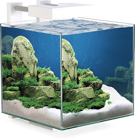 Ciano nexus pure led 15 - nano aquarium - 14L