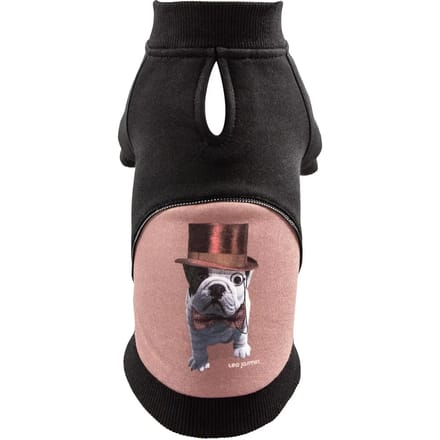 Hoodie voor hond Martin Sellier Teo Dandy
