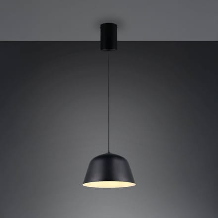 Reality Leuchten Hanglamp Tova, matzwart, Ø 30 cm, metaal, E27
