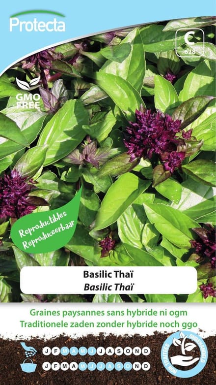 Protecta Kruiden zaden: Basilicum Thaï