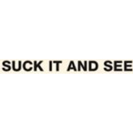 Suck It And See - Arctic Monkeys